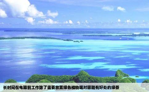 长时间在电脑前工作除了需要放置绿色植物喝对眼睛有好处的绿茶