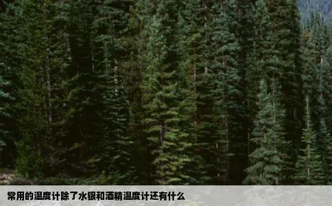 常用的温度计除了水银和酒精温度计还有什么