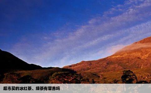 超市买的冰红茶绿茶有营养吗