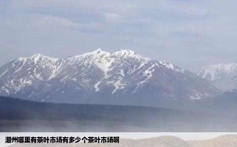 潮州哪里有茶叶市场有多少个茶叶市场啊