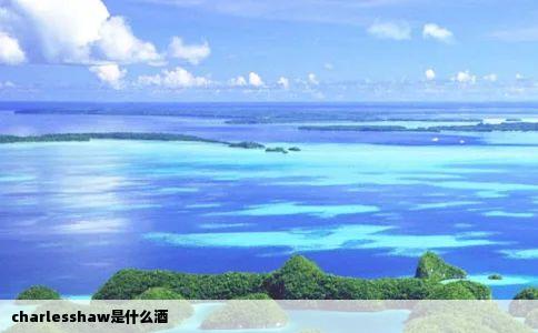 charlesshaw是什么酒