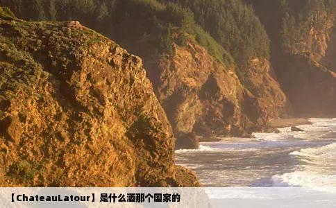 【ChateauLatour】是什么酒那个国家的