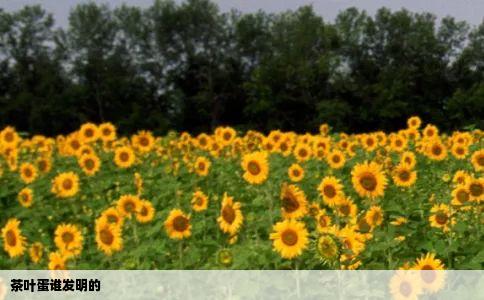 茶叶蛋谁发明的