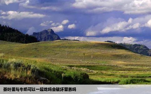 茶叶蛋与牛奶可以一起吃吗会破坏营养吗