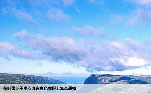 茶叶蛋汁不小心滴在白色衣服上怎么弄掉