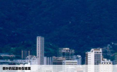 茶叶的起源地在哪里