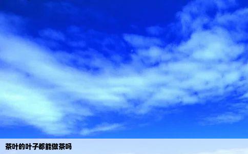 茶叶的叶子都能做茶吗