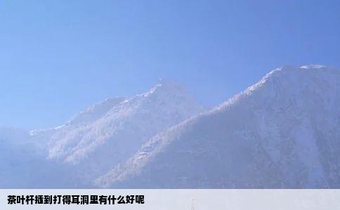 茶叶杆插到打得耳洞里有什么好呢
