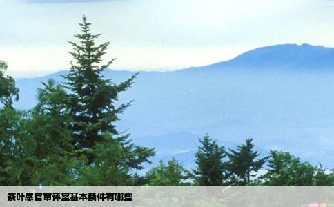 茶叶感官审评室基本条件有哪些