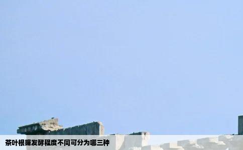 茶叶根据发酵程度不同可分为哪三种