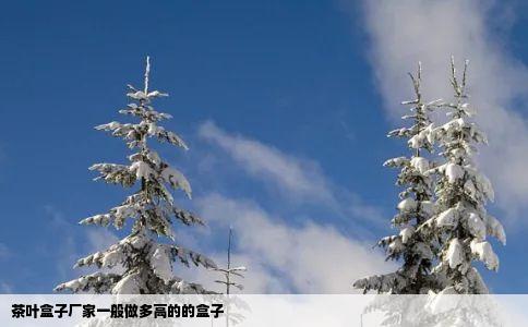 茶叶盒子厂家一般做多高的的盒子