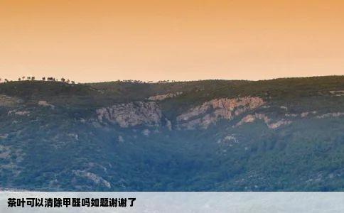 茶叶可以清除甲醛吗如题谢谢了