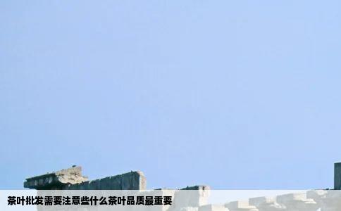 茶叶批发需要注意些什么茶叶品质最重要