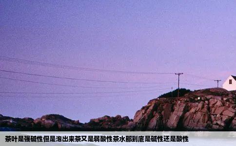茶叶是强碱性但是泡出来茶又是弱酸性茶水那到底是碱性还是酸性