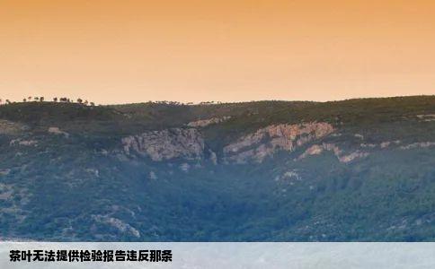 茶叶无法提供检验报告违反那条