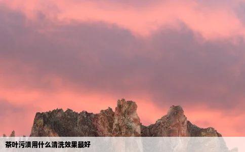 茶叶污渍用什么清洗效果最好