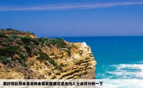 茶叶现状及未来走势未来发展模式求业内人士点评分析一下