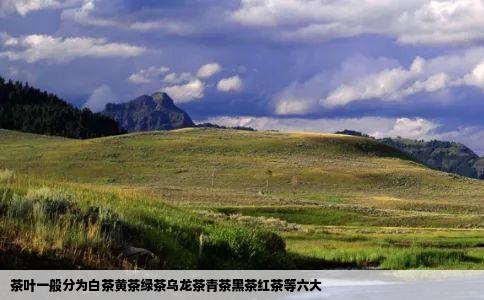 茶叶一般分为白茶黄茶绿茶乌龙茶青茶黑茶红茶等六大