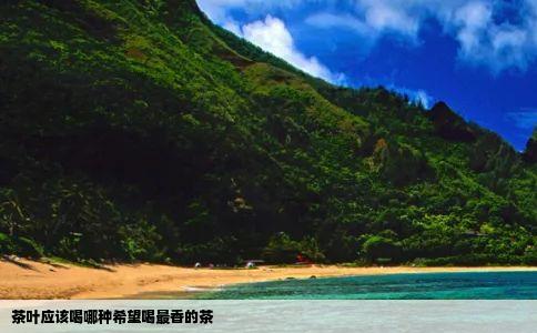 茶叶应该喝哪种希望喝最香的茶