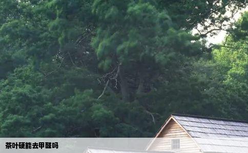 茶叶硬能去甲醛吗