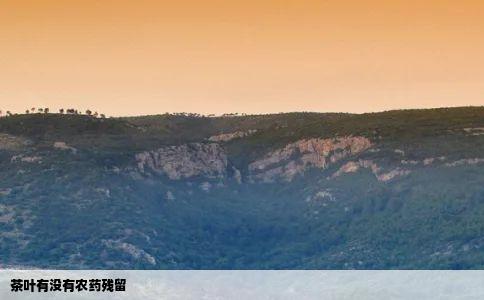 茶叶有没有农药残留