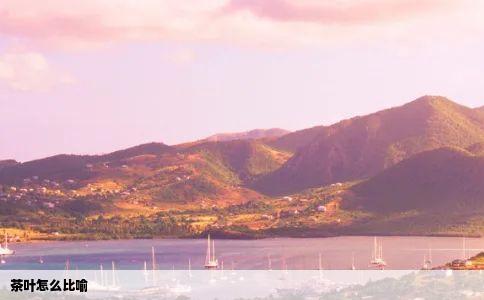 茶叶怎么比喻