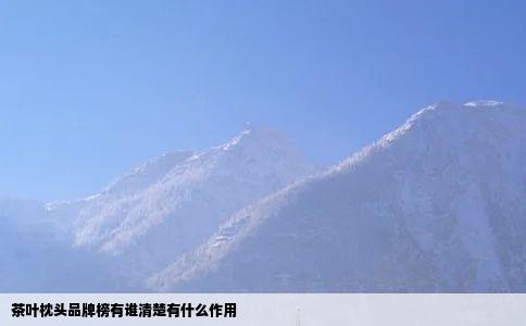 茶叶枕头品牌榜有谁清楚有什么作用