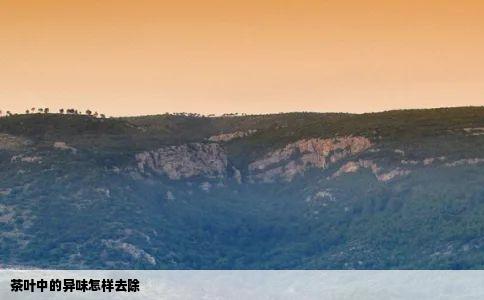 茶叶中的异味怎样去除