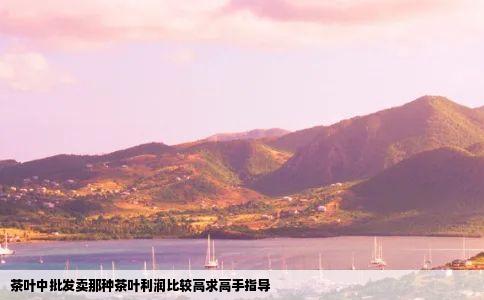 茶叶中批发卖那种茶叶利润比较高求高手指导