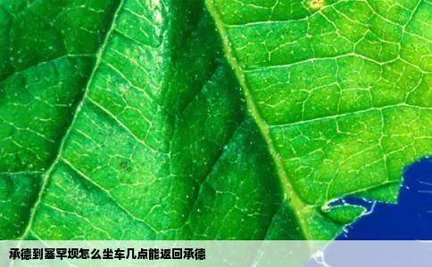 承德到塞罕坝怎么坐车几点能返回承德