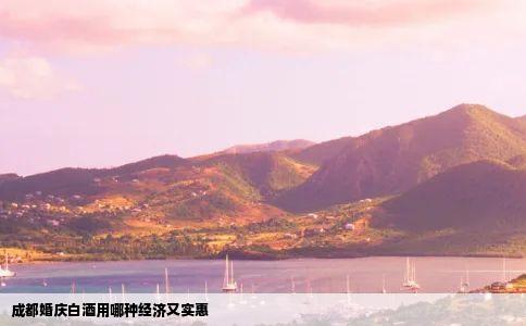 成都婚庆白酒用哪种经济又实惠