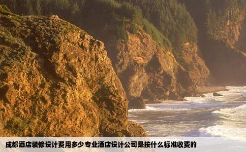 成都酒店装修设计费用多少专业酒店设计公司是按什么标准收费的