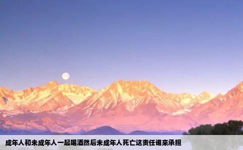 成年人和未成年人一起喝酒然后未成年人死亡这责任谁来承担