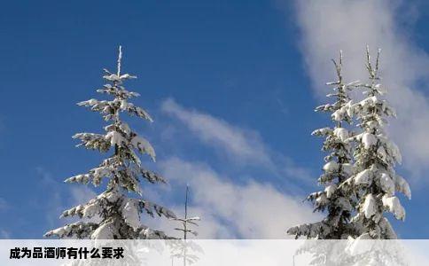 成为品酒师有什么要求
