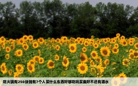 吃火锅有250块钱有7个人买什么东西好够吃吗买鱼好不还有酒水