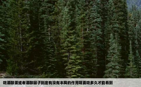 吃酒酿蛋或者酒酿圆子到底有没有丰胸的作用啊要吃多久才能看到