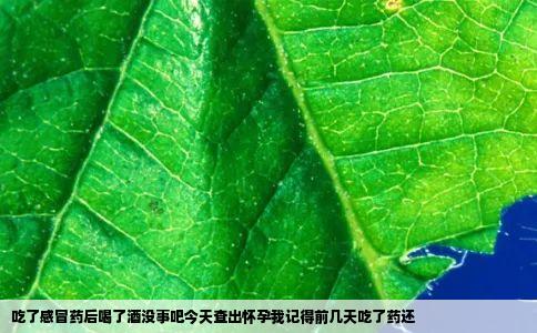 吃了感冒药后喝了酒没事吧今天查出怀孕我记得前几天吃了药还