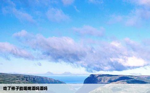 吃了柿子能喝啤酒吗酒吗