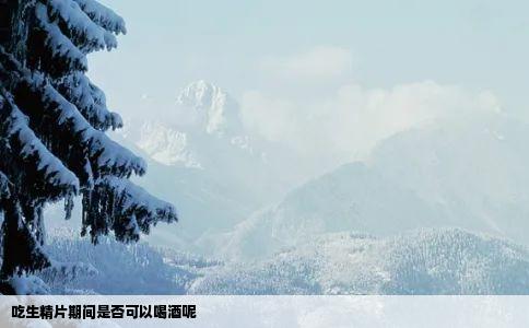 吃生精片期间是否可以喝酒呢