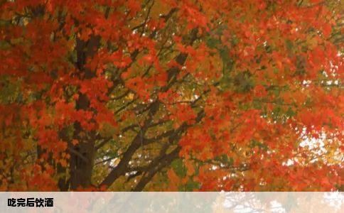 吃完后饮酒