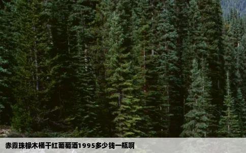 赤霞珠橡木桶干红葡萄酒1995多少钱一瓶啊
