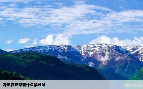 冲泡桂花茶有什么禁忌吗