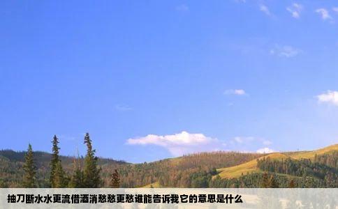 抽刀断水水更流借酒消愁愁更愁谁能告诉我它的意思是什么