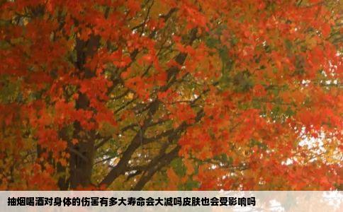 抽烟喝酒对身体的伤害有多大寿命会大减吗皮肤也会受影响吗