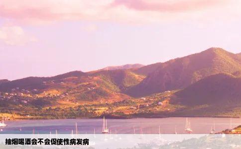 抽烟喝酒会不会促使性病发病