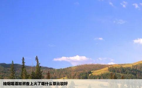 抽烟喝酒加熬夜上火了喝什么茶比较好