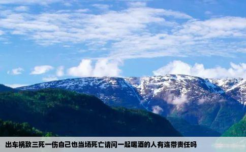 出车祸致三死一伤自己也当场死亡请问一起喝酒的人有连带责任吗