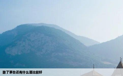 除了茅台还有什么酒比较好