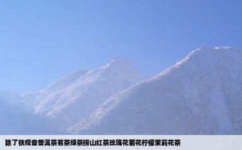 除了铁观音普洱茶茗茶绿茶捞山红茶玫瑰花菊花柠檬茉莉花茶