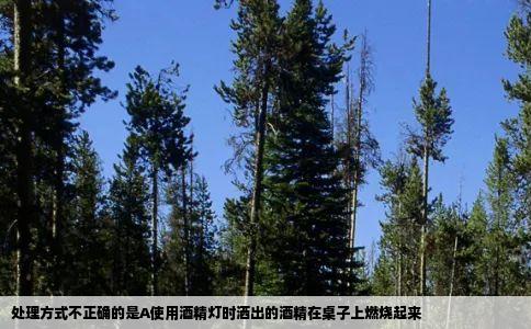 处理方式不正确的是A使用酒精灯时洒出的酒精在桌子上燃烧起来